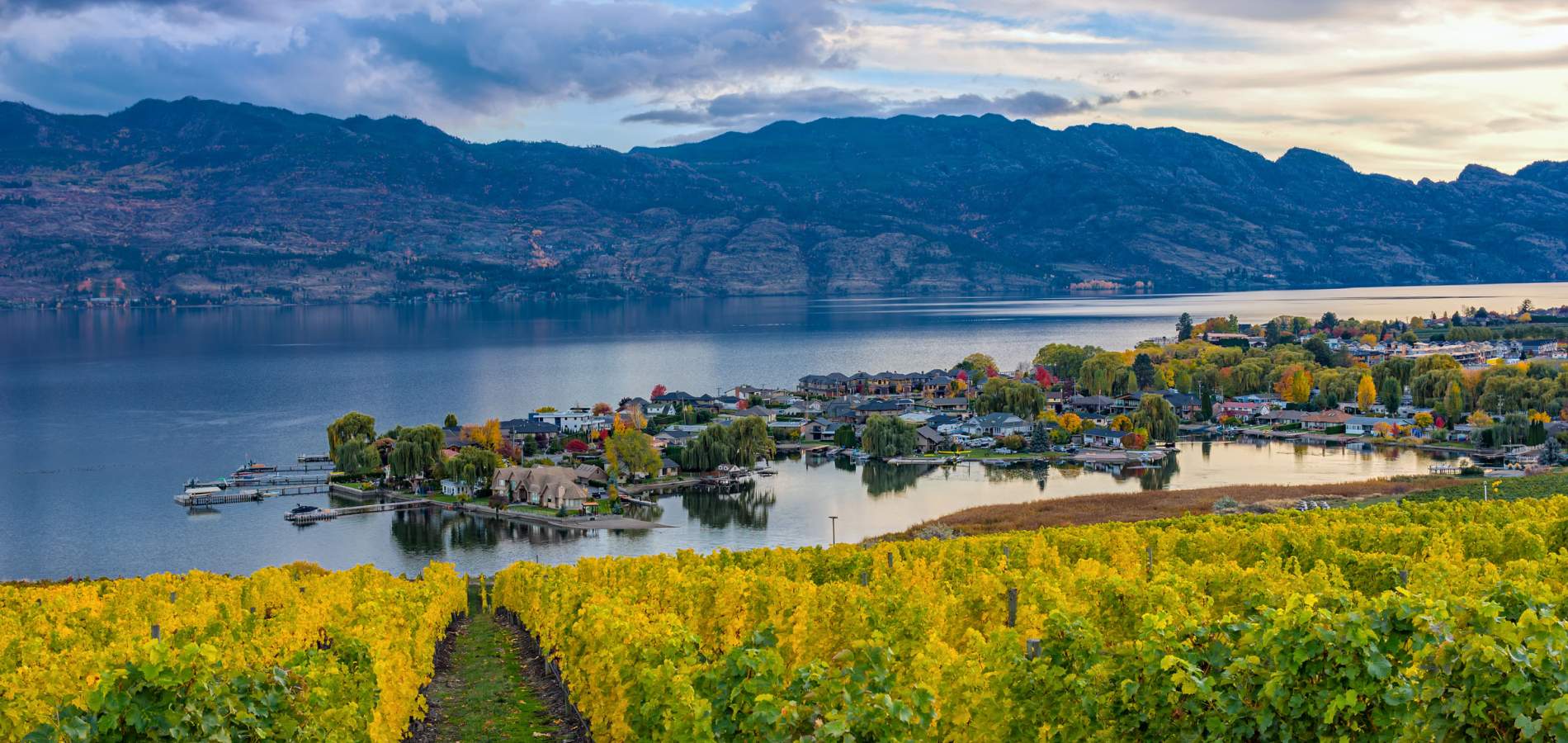 Aerial Shot Of Kelowna BC, Okanagan Valley, Wine Country