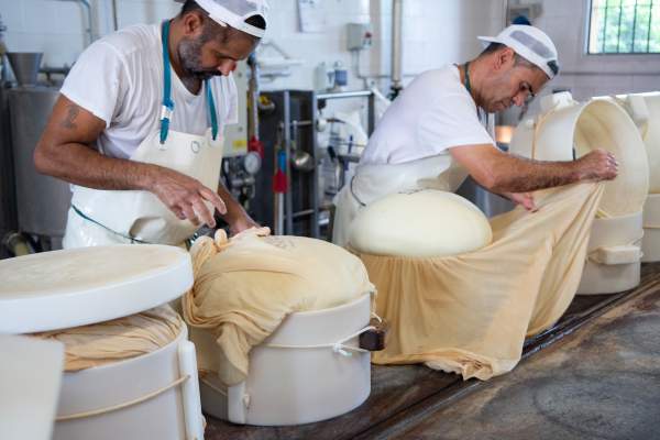 Parmigiano Reggiano | AirSprint Private Aviation